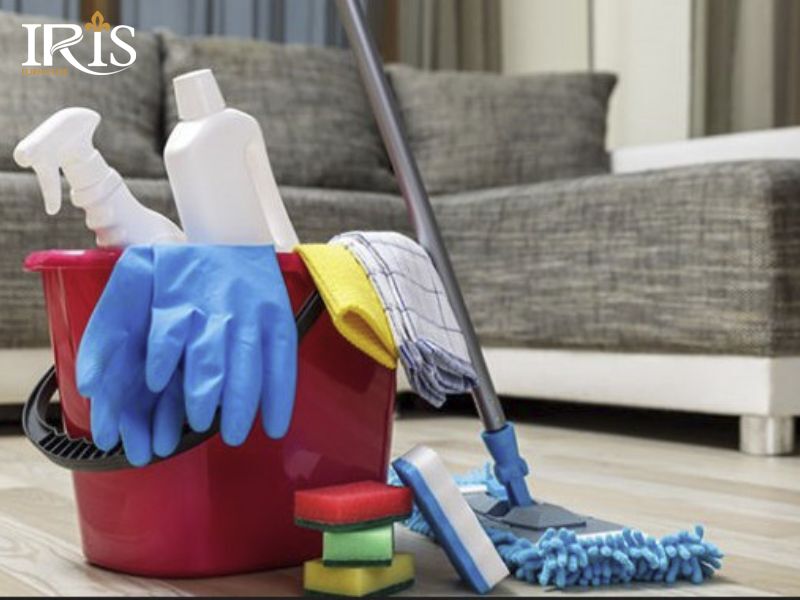 Hướng dẫn cách vệ sinh các loại ghế sofa tại nhà đơn giản, dễ làm 12 Sử dụng dụng cụ mềm và nhẹ nhàng đề vệ sinh bề mặt ghế