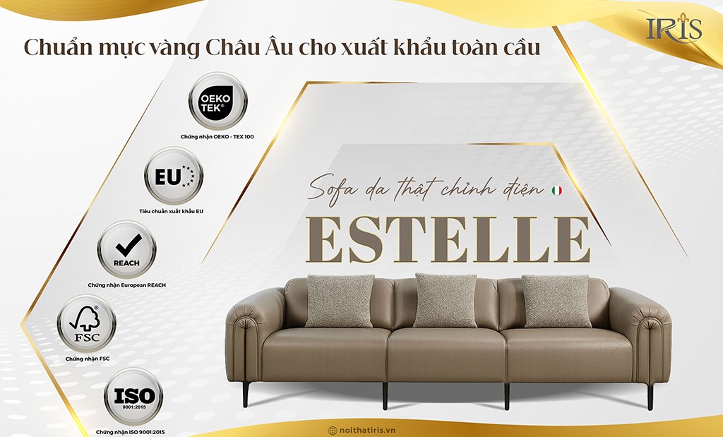Mang tới sự sang trọng hoàn hảo và hiện đại